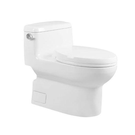 Contemporary European White Toilet With Dual Flush